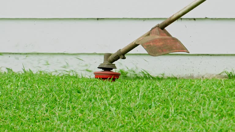 Best Leaf Removal  in Great Neck Gardens, NY
