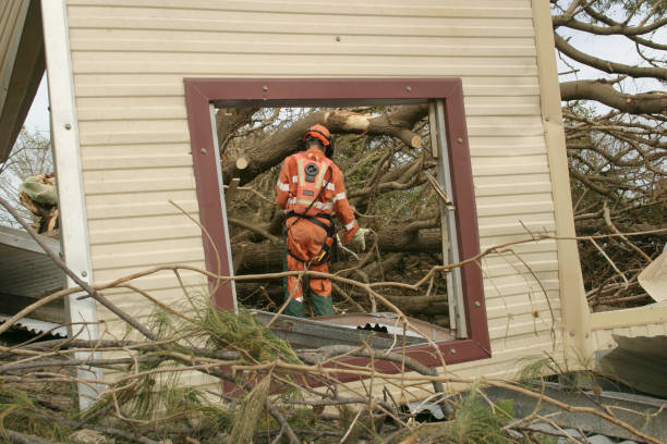 Great Neck Gardens, NY Tree Services Pros