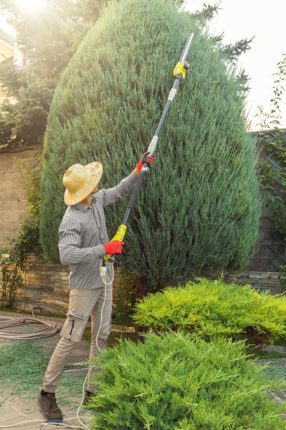Best Emergency Tree Removal  in Great Neck Gardens, NY